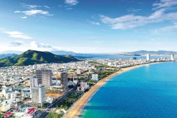 Sức hút từ Bình Định