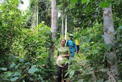 Chi cục Kiểm lâm Sơn La: Đẩy mạnh công tác bảo vệ rừng và phòng cháy chữa cháy