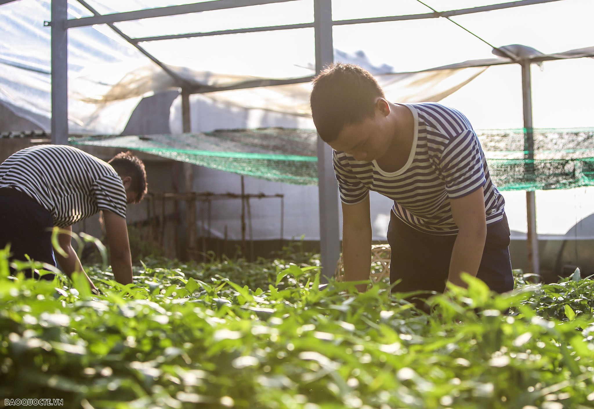 Vượt sóng vào An Bang