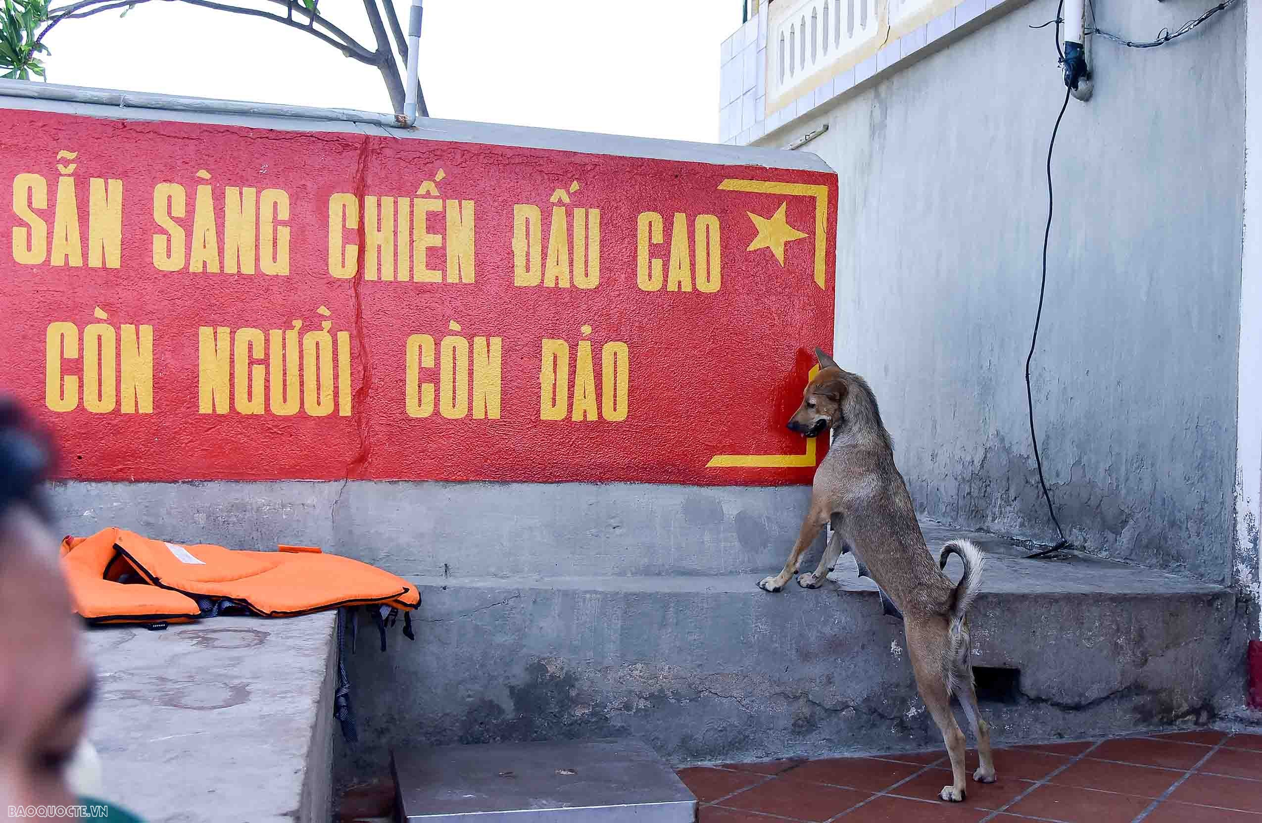 Những người bạn 4 chân của chiến sĩ Trường Sa