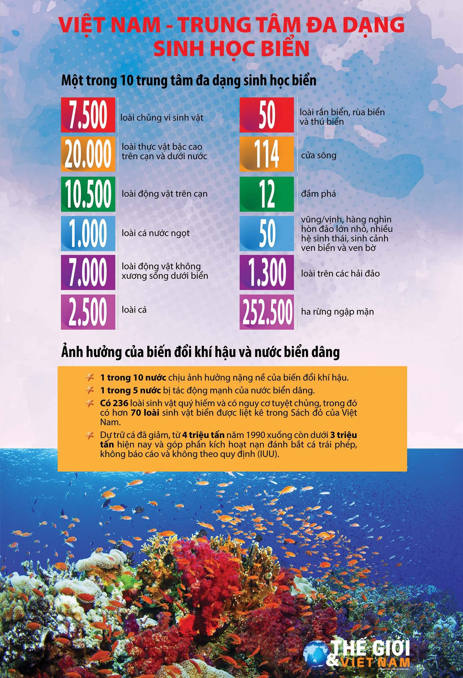 Việt Nam - trung tâm đa dạng sinh học biển