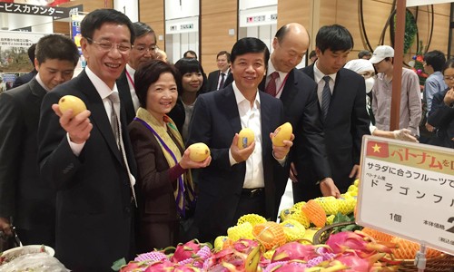 Chính phủ Nhật Bản trao tặng Huân chương Mặt trời mọc cho nguyên Thứ trưởng Ngoại giao Nguyễn Quốc Cường