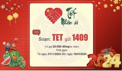 Trung ương Hội chữ thập đỏ Việt Nam triển khai phong trào 'Tết Nhân ái' 2024