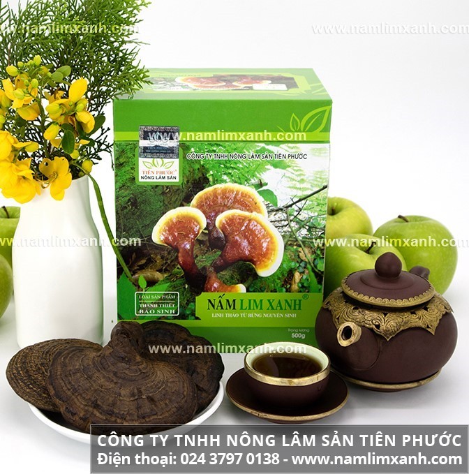 Nấm lim xanh chất lượng cao Thanh Thiết Bảo Sinh chế biến cổ truyền. Nấm lim xanh chất lượng cao Thanh Thiết Bảo Sinh chế biến cổ truyền.