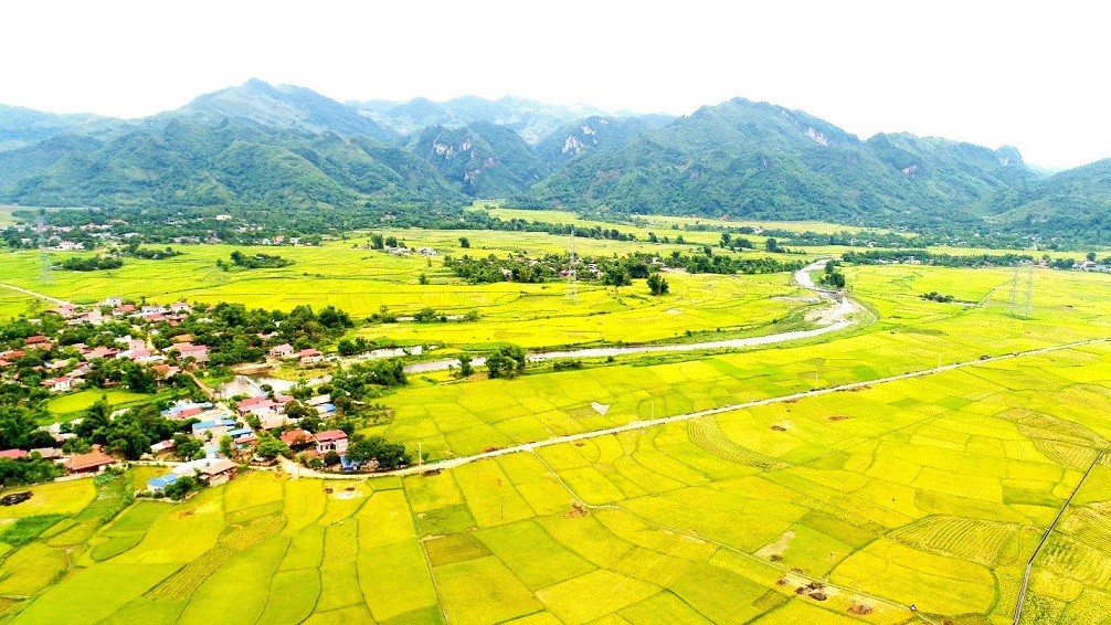 Cánh đồng Mường Tấc, Phù Yên. (Nguồn: Báo Sơn La) Cánh đồng Mường Tấc, Phù Yên. (Nguồn: Báo Sơn La)