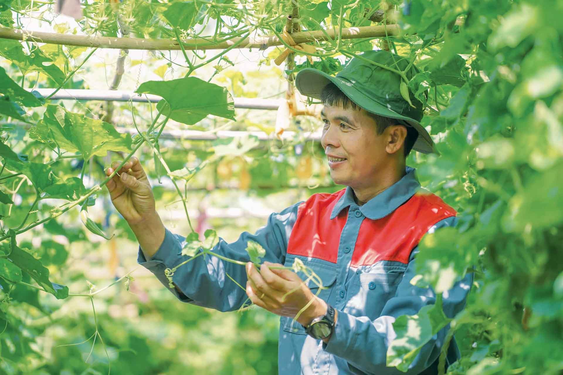 TS. Nguyễn Đức Chinh.