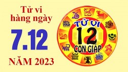 Tử vi hôm nay, xem tử vi 12 con giáp hôm nay ngày 7/12/2023: Tuổi Tỵ gia đạo yên ấm