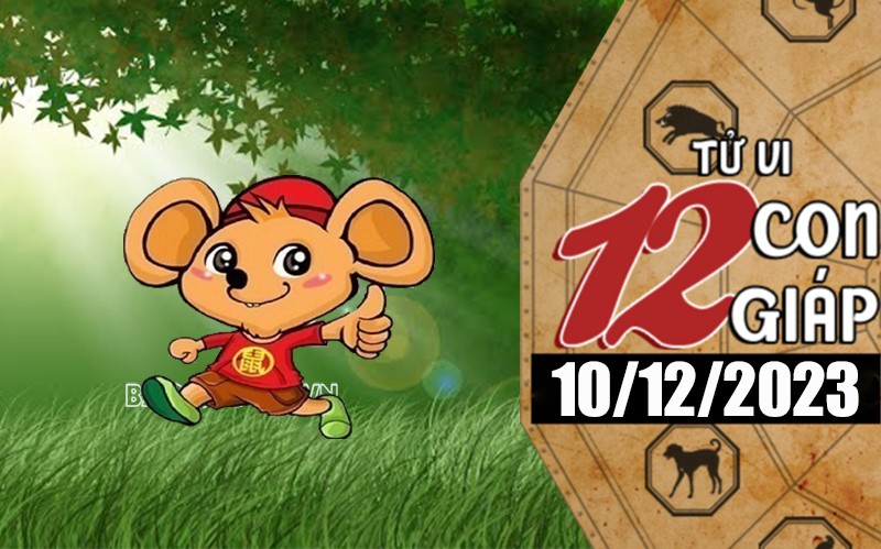 Tử vi hôm nay, xem tử vi 12 con giáp hôm nay ngày 10/12/2023: Tuổi Tỵ công việc may mắn