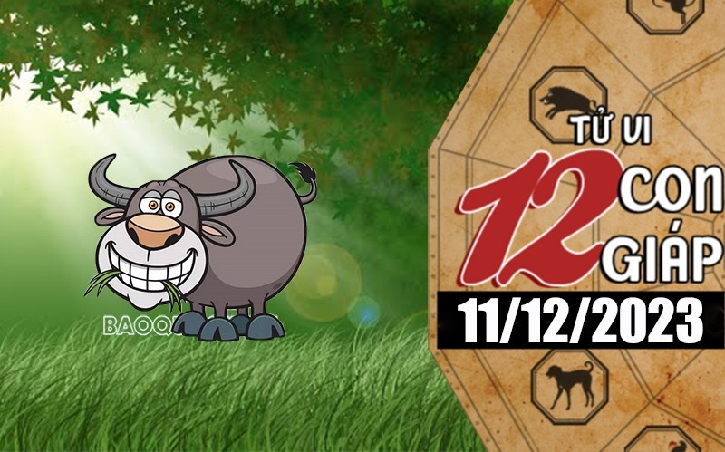 Tử vi hôm nay, xem tử vi 12 con giáp hôm nay ngày 11/12/2023: Tuổi Sửu tương lai tươi sáng