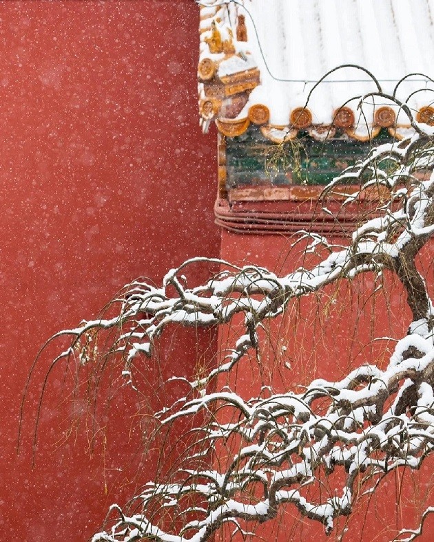 Trung Quốc: Tử Cấm Thành mùa tuyết rơi Trung Quốc: Tử Cấm Thành mùa tuyết rơi