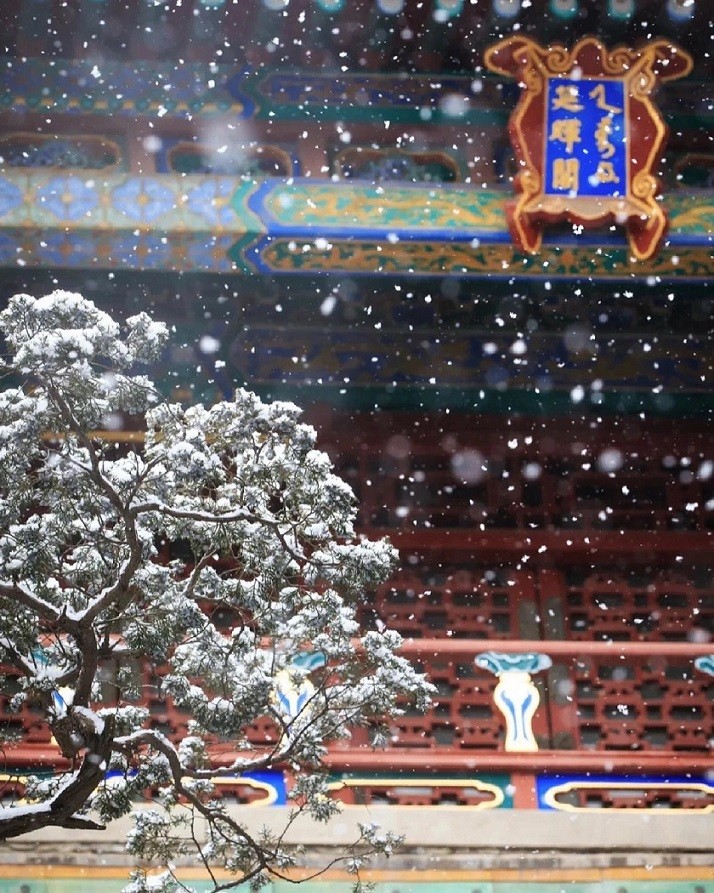 Trung Quốc: Tử Cấm Thành mùa tuyết rơi Trung Quốc: Tử Cấm Thành mùa tuyết rơi