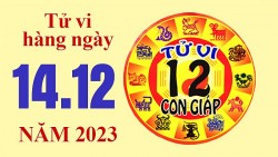 Tử vi hôm nay, xem tử vi 12 con giáp hôm nay ngày 14/12/2023: Tuổi Mão thu nhập tăng cao