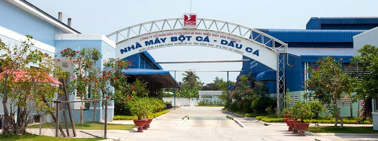 TRISEDCO​​​​​​​ ‘đôi công’ với sóng lớn