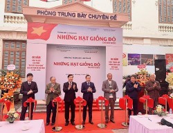 ‘Những hạt giống đỏ’ - Trưng bày về thế hệ những người cộng sản đầu tiên cho cách mạng Việt Nam