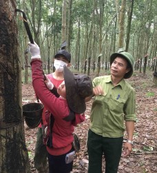 Cựu chiến binh Vũ Mạnh Khải: Không chỉ làm giàu cho riêng mình