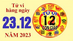 Tử vi hôm nay, xem tử vi 12 con giáp hôm nay ngày 23/12/2023: Tuổi Hợi công việc thuận lợi