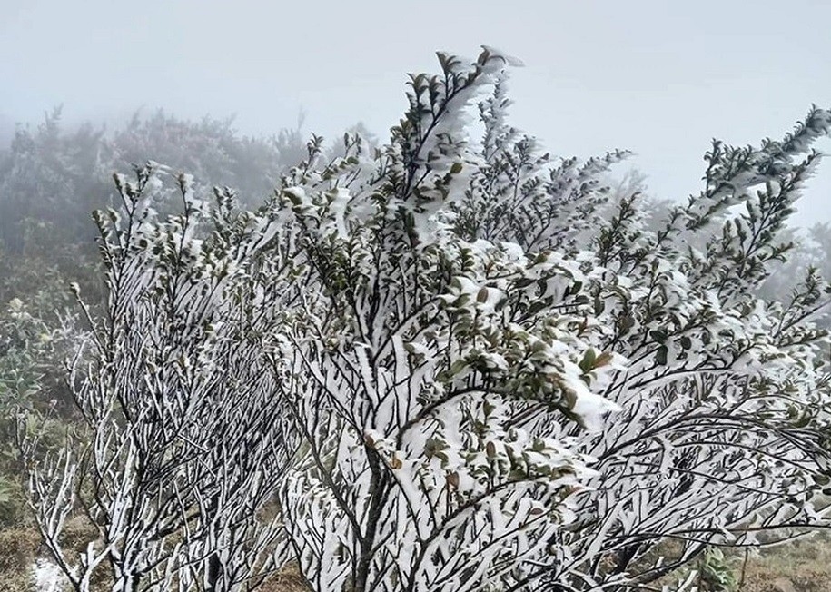 Lào Cai: Không khí lạnh tăng cường, băng giá bao phủ các đỉnh núi cao