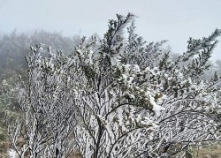 Lào Cai: Không khí lạnh tăng cường, băng giá bao phủ các đỉnh núi cao