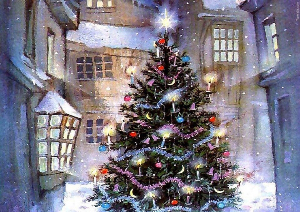 Thị hiếu thuê cây thông Giáng sinh tăng mạnh tại Anh