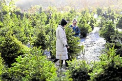 Argentina hy vọng đại sứ mới sẽ giúp xoa dịu Trung Quốc