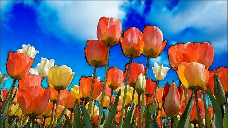 Cách làm tranh màu nước bằng Photoshop từ ảnh thật đơn giản nhất Cách làm tranh màu nước bằng Photoshop từ ảnh thật đơn giản nhất