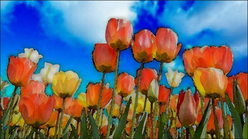 Cách làm tranh màu nước bằng Photoshop từ ảnh thật đơn giản nhất Cách làm tranh màu nước bằng Photoshop từ ảnh thật đơn giản nhất