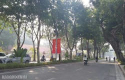 Dự báo thời tiết 10 ngày tới (17-26/2): Cả nước ngày nắng, mưa rào rải rác, Bắc Bộ đêm lạnh, từ 22/2 chuyển rét