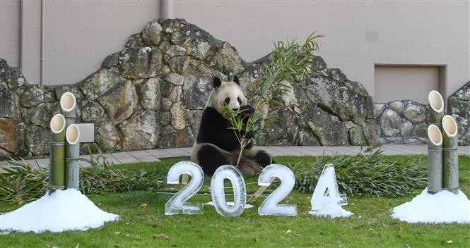 Hoa giấy bay trong lễ tổng duyệt ngày 29/12/2023, chuẩn bị cho Lễ hội hoa giấy thường niên sẽ được diễn ra vào thời khắc Giao thừa trên Quảng trường Thời đại ở New York, Mỹ. Ảnh: AFP/TTXVN Hoa giấy bay trong lễ tổng duyệt ngày 29/12/2023, chuẩn bị cho Lễ hội hoa giấy thường niên sẽ được diễn ra vào thời khắc Giao thừa trên Quảng trường Thời đại ở New York, Mỹ. Ảnh: AFP/TTXVN Hoa đào đông nở rộ tại Vân Nam, Trung Quốc, ngày 23/12/2023. Ảnh: THX/TTXVN Hoa đào đông nở rộ tại Vân Nam, Trung Quốc, ngày 24/12/2023. Ảnh: THX/TTXVN Trang trí đón chào Năm mới tại San Carlos, California, Mỹ. Ảnh: THX/TTXVN Trang trí chào đón Năm mới 2024 tại công viên giải trí ở Wakayama, Nhật Bản. Ảnh: Kyodo Hoa giấy bay trong lễ tổng duyệt ngày 29/12/2023, chuẩn bị cho Lễ hội hoa giấy thường niên sẽ được diễn ra vào thời khắc Giao thừa trên Quảng trường Thời đại ở New York, Mỹ. Ảnh: AFP/TTXVN Hoa giấy bay trong lễ tổng duyệt ngày 29/12/2023, chuẩn bị cho Lễ hội hoa giấy thường niên sẽ được diễn ra vào thời khắc Giao thừa trên Quảng trường Thời đại ở New York, Mỹ. Ảnh: AFP/TTXVN Hoa đào đông nở rộ tại Vân Nam, Trung Quốc, ngày 23/12/2023. Ảnh: THX/TTXVN Hoa đào đông nở rộ tại Vân Nam, Trung Quốc, ngày 24/12/2023. Ảnh: THX/TTXVN Trang trí đón chào Năm mới tại San Carlos, California, Mỹ. Ảnh: THX/TTXVN Trang trí chào đón Năm mới 2024 tại công viên giải trí ở Wakayama, Nhật Bản. Ảnh: Kyodo