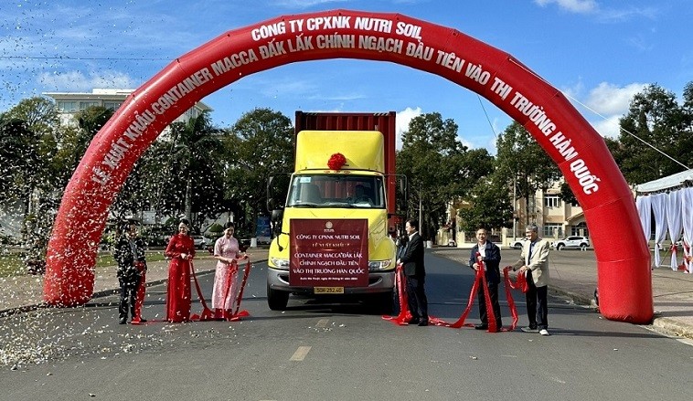 Lô macca Đắk Lắk chính ngạch đầu tiên vào thị trường Hàn Quốc Lô macca Đắk Lắk chính ngạch đầu tiên vào thị trường Hàn Quốc