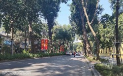 Google: Lượng tìm kiếm của du khách quốc tế về du lịch Việt Nam năm 2023 xếp thứ 6 toàn cầu