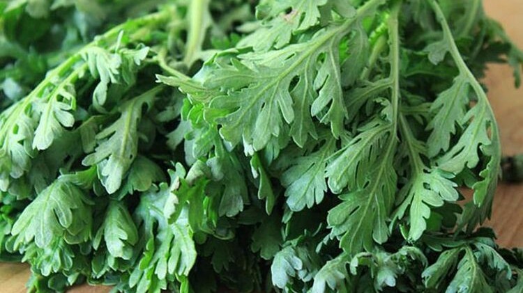 Cải cúc chứa nhiều axit amin nhưng không nên ăn nhiều