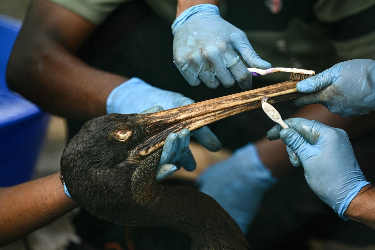 Ảnh ấn tượng (1 7/1): Nga nói tiến bộ ‘hơn tất cả những nước khác’ về sản xuất vũ khí, cơ sở khí đốt Ukraine bốc cháy, đánh bom đẫm máu ở Iran