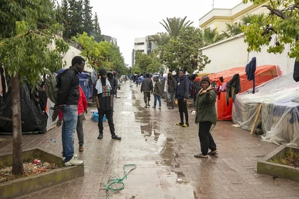 Tổng thống Kenya: Xung đột tiếp tục kìm hãm tiềm năng của châu Phi Tổng thống Kenya: Xung đột tiếp tục kìm hãm tiềm năng của châu Phi