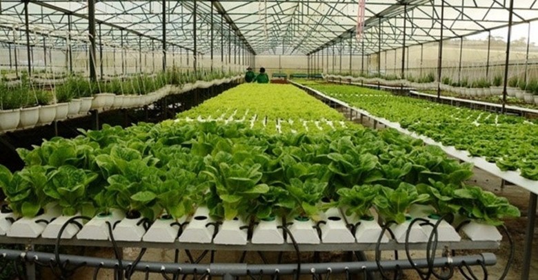 TP. Hồ Chí Minh hướng tới mục tiêu trở thành trung tâm nông nghiệp công nghệ cao TP. Hồ Chí Minh hướng tới mục tiêu trở thành trung tâm nông nghiệp công nghệ cao