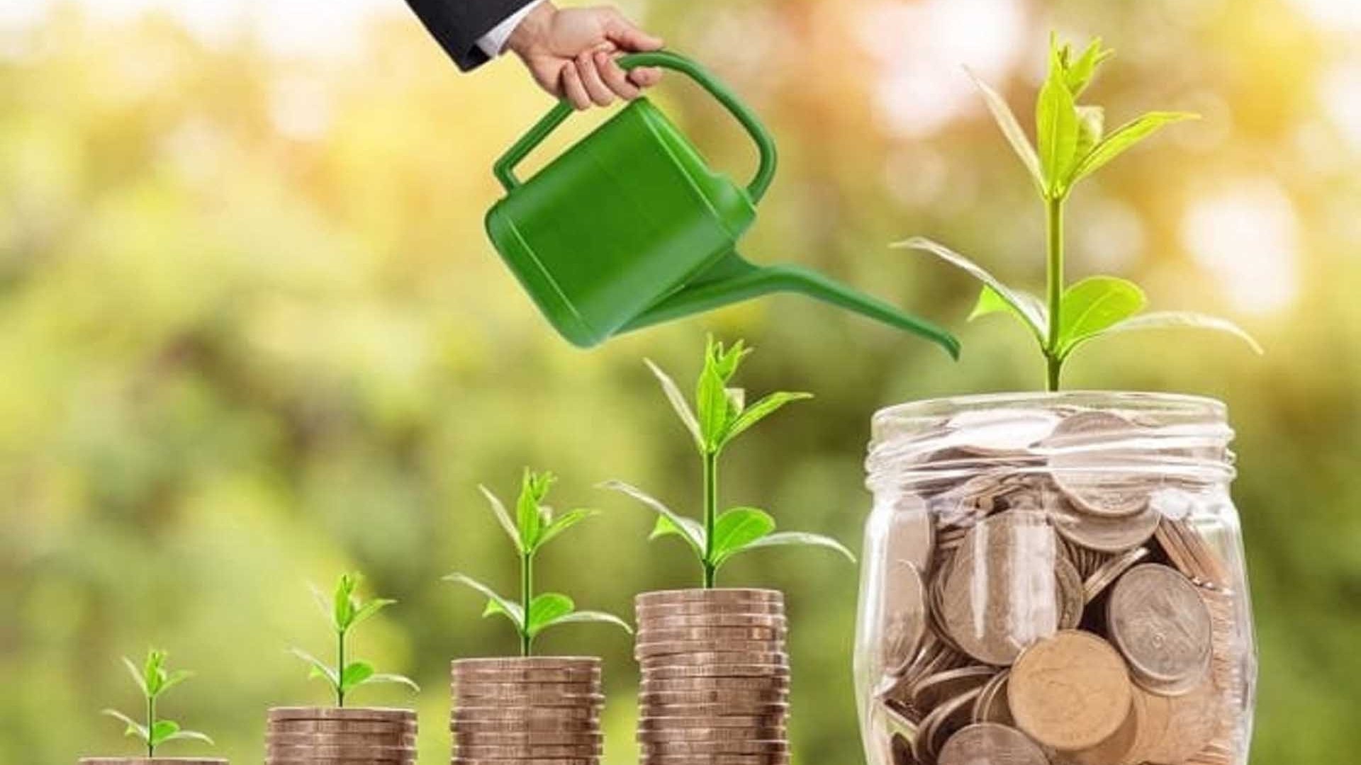 thi truong carbon thang tram va ky vong