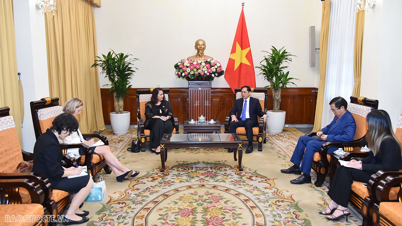 Bộ trưởng Ngoại giao Bùi Thanh Sơn tiếp Đại sứ New Zealand Tredene Dobson chào từ biệt