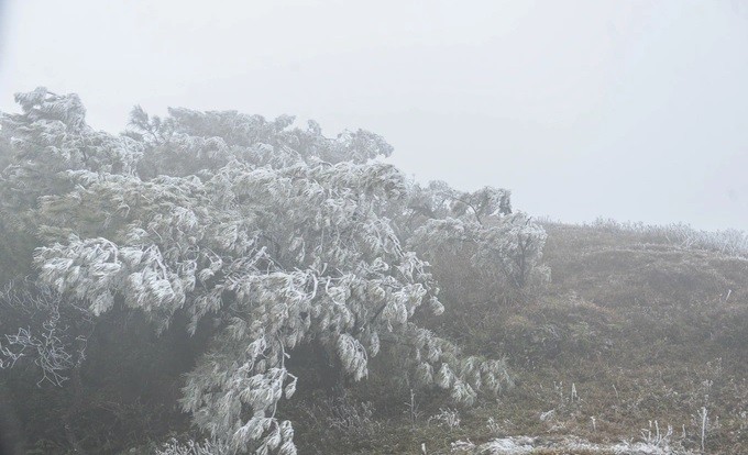 Một số hình ảnh băng giá