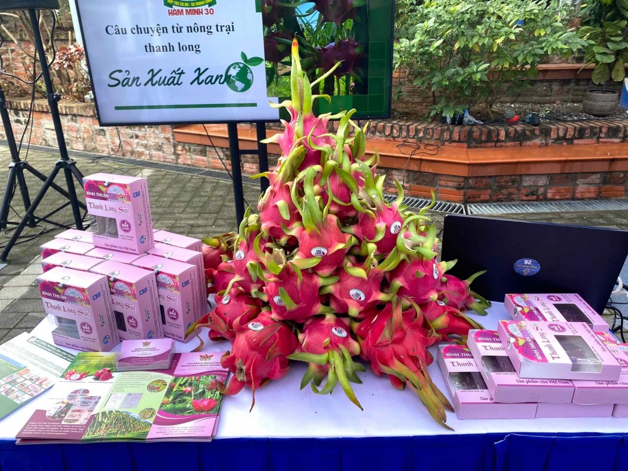 Thanh long xanh của Bình Thuận góp phần bảo vệ môi trường