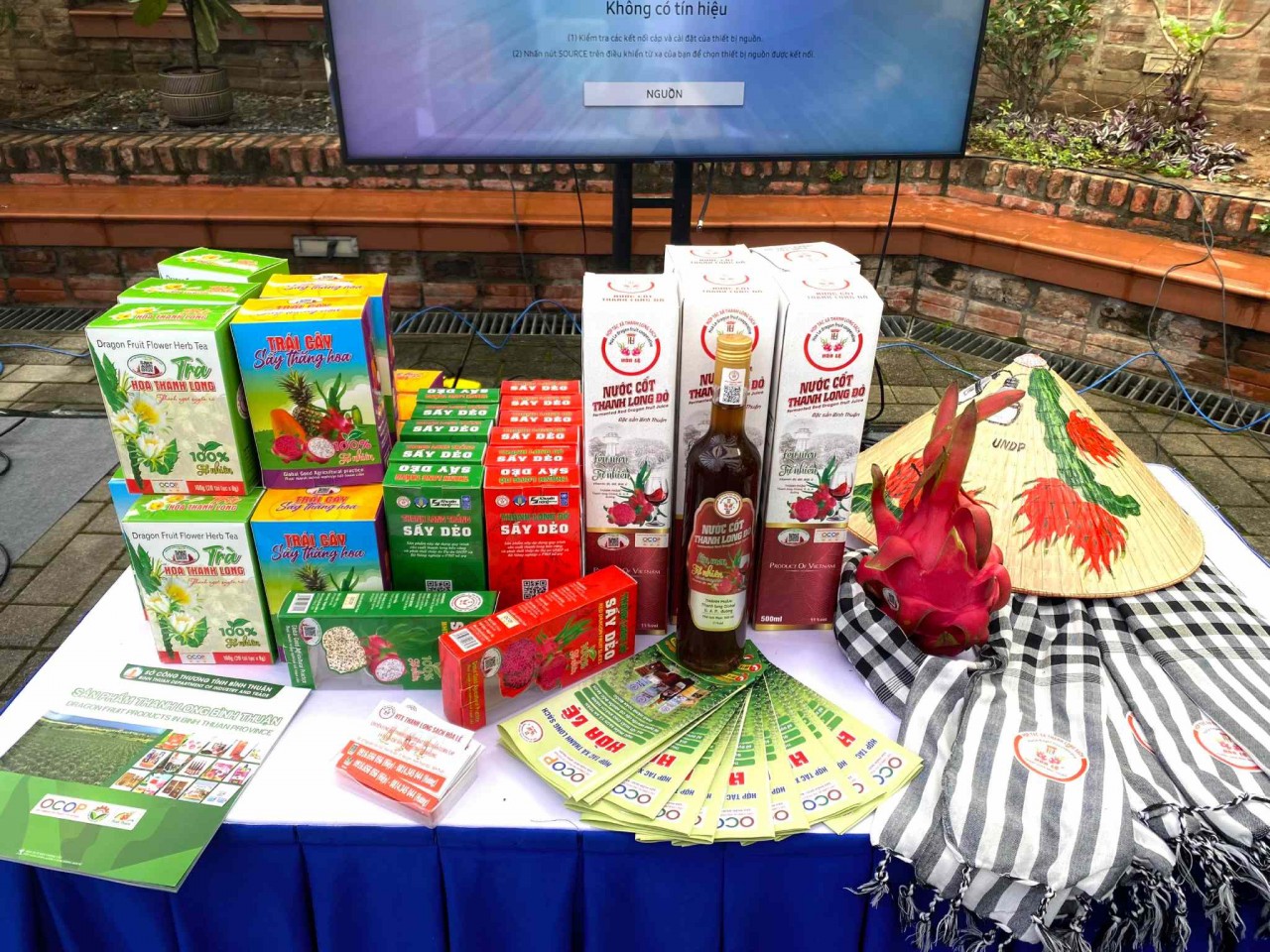 Thanh long xanh của Bình Thuận góp phần bảo vệ môi trường