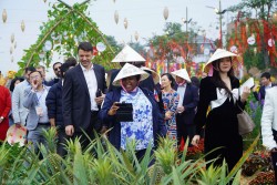 Đưa Tết cổ truyền Việt Nam tới gần hơn với bạn bè quốc tế