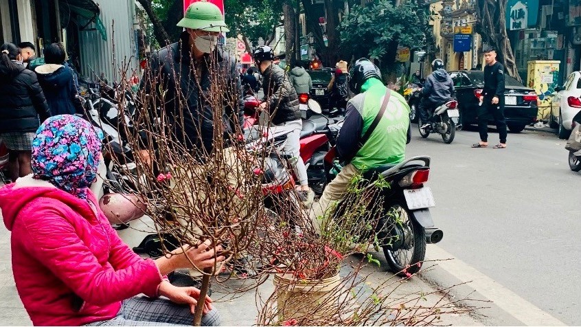 du bao thoi tiet dip tet giap thin 2024