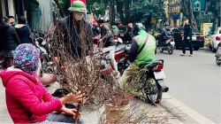 Dự báo thời tiết dịp Tết Giáp Thìn 2024