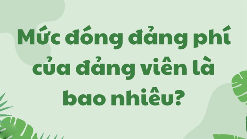 Mức đóng đảng phí của đảng viên mới nhất 2024 Mức đóng đảng phí của đảng viên mới nhất 2024