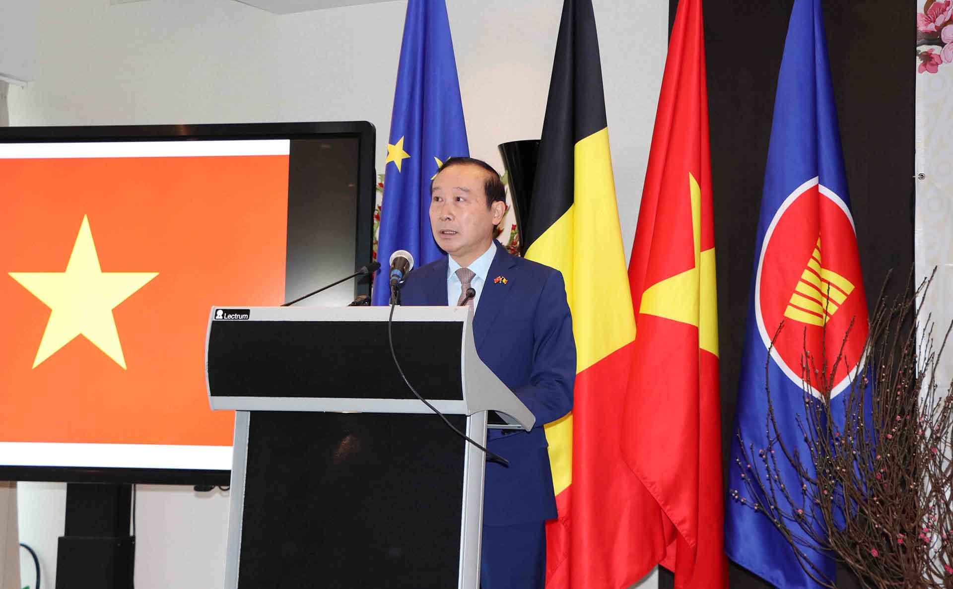 Tết cộng đồng mừng Xuân Giáp Thìn 2024 tại Bỉ: Ấm áp và đậm đà bản sắc dân tộc