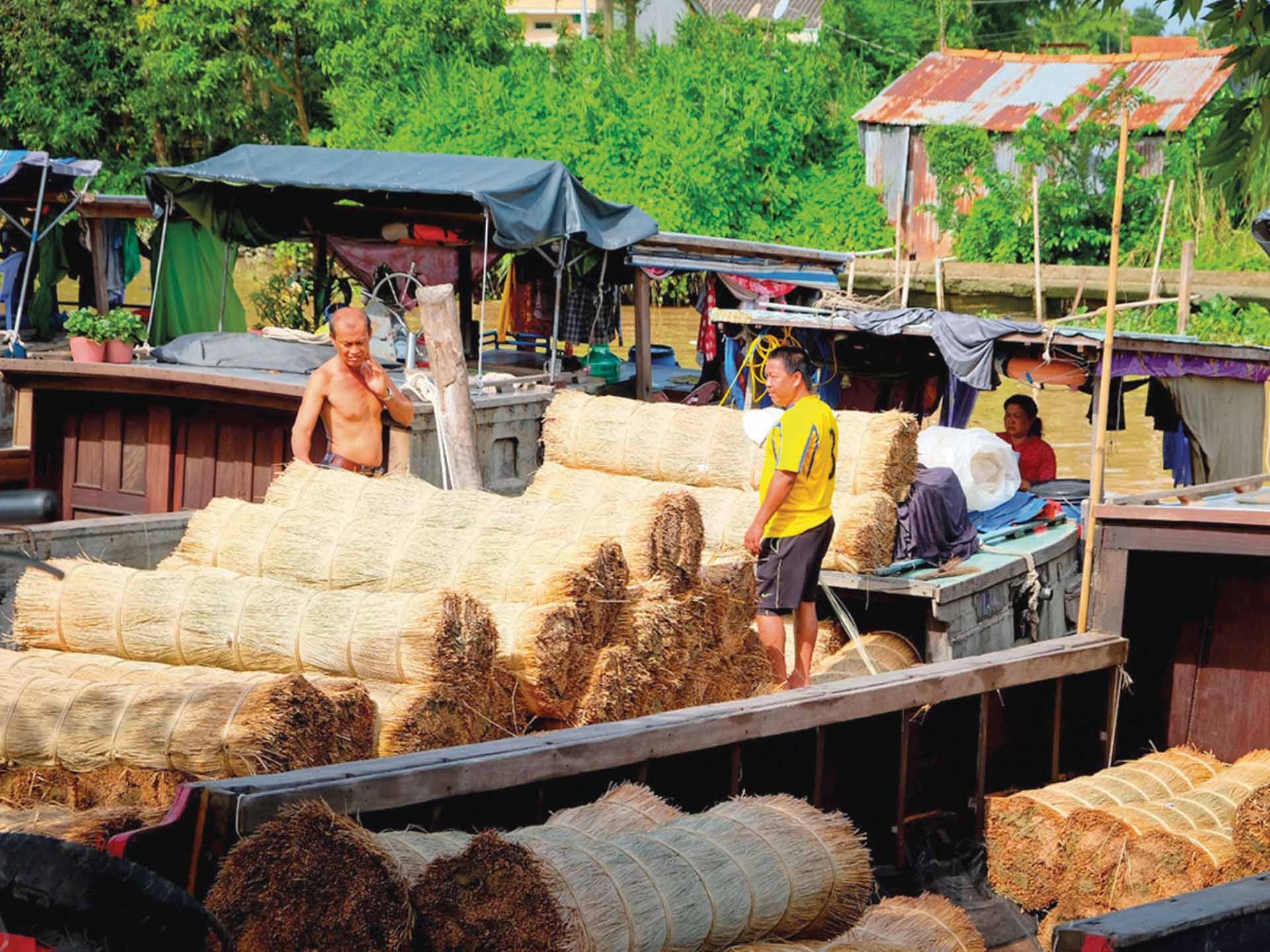Tại ấp An Khương (xã Định Yên – Lấp Vò) bên bờ sông Ngã Cại một nhánh sông của sông Hậu là bến sông với hàng chục chiếc ghe đậu san sát, nơi cung cấp nguyên vật liệu (lát, dây chân...) cho làng nghề dệt chiếu truyền thống Định Yên. (Ảnh: Phương Nghi)