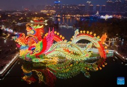 Những hình ảnh đón Tết Nguyên đán trên thế giới