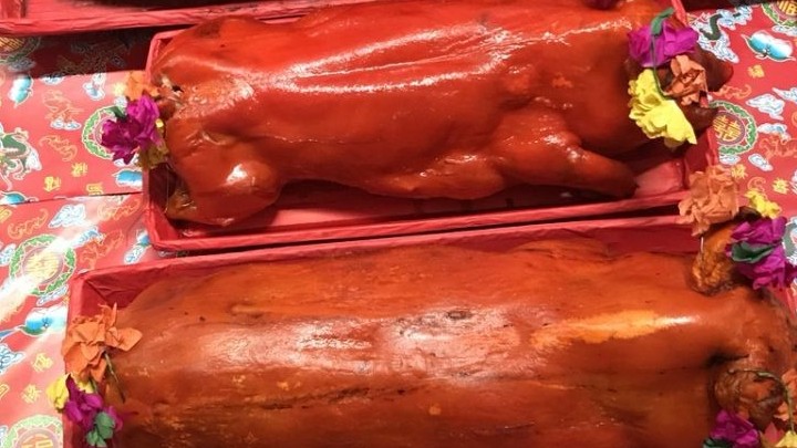 gia heo hoi hom nay 92 gia heo hoi on dinh dip tet nho no luc binh on tu cac bo nganh