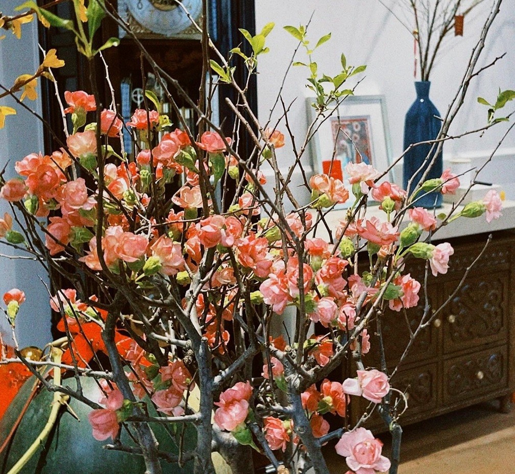 Diễm My 9X khoe ảnh biệt thự sang trọng được trang hoàng chu đáo đón Tết Nguyên đán Diễm My 9X khoe ảnh biệt thự sang trọng được trang hoàng chu đáo đón Tết Nguyên đán