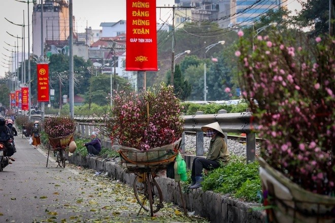 Một số tiểu thương bán đào đợi khách trên lề phố... (Ảnh: Minh Hiếu/Vietnam+)