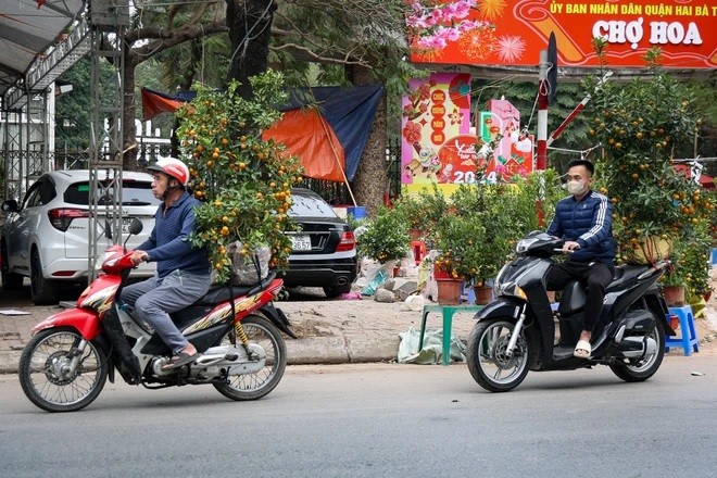 Một số người đi sắm đào, quất Tết muộn. (Ảnh: Minh Hiếu/Vietnam+)